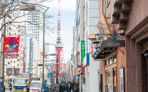 大手企業本社があるなどオフィス街で飲食店も多い賑やかな街。芝公園や旧芝離宮恩賜庭園など自然もたくさん。選りすぐりの農家よりいい青果を値打ち価格で販売している青果店。
